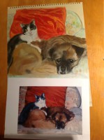 /album/galerie-photos/photo-728-jpg/